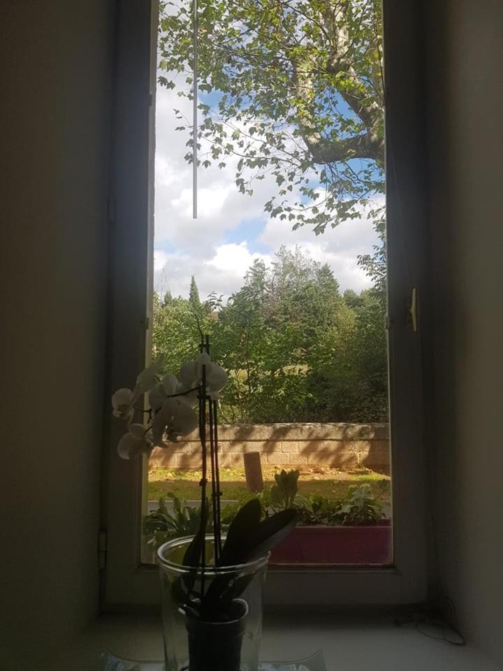Apartament Petit Loft Face Riviere Collobrières Zewnętrze zdjęcie